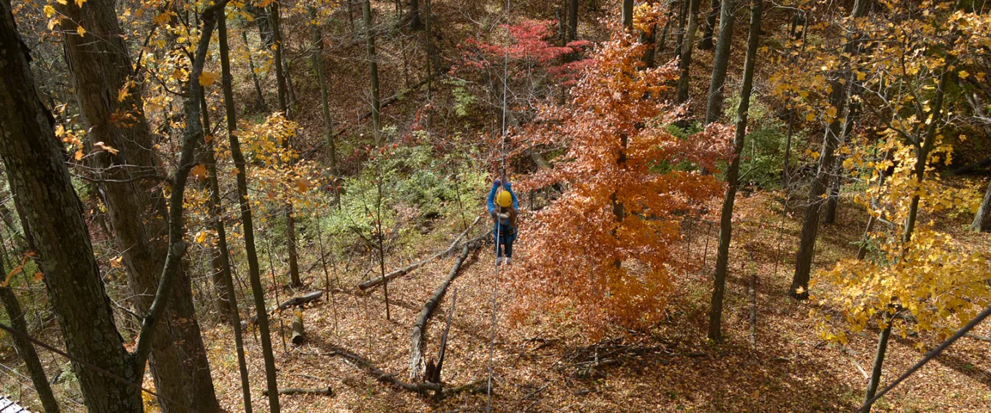 Zipping in the autumn
